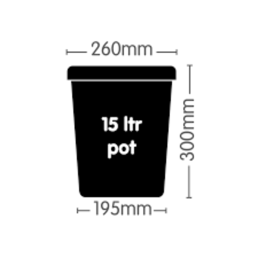 AutoPot 15L Pot (Square)