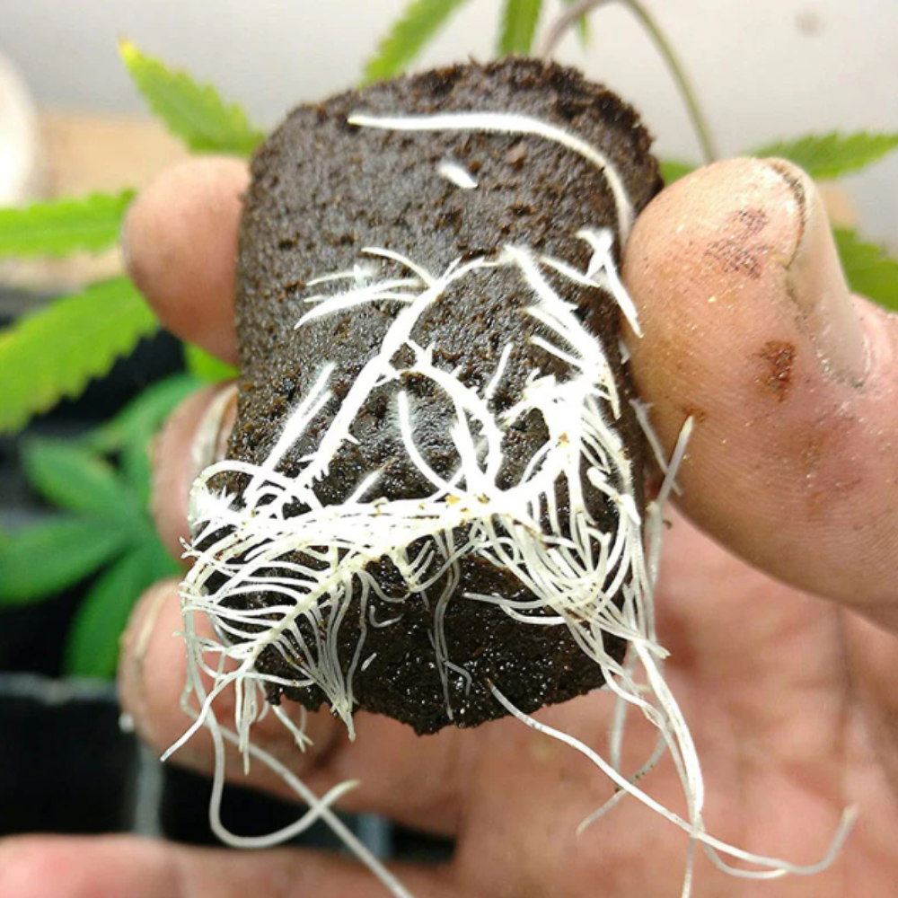 Bokashi Pro-Gro Fermented Fertilizer