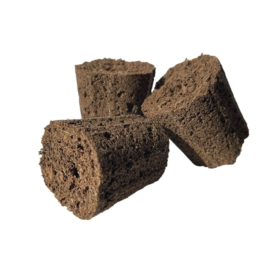 Product Secondary Image:CANNA Rootplug en Vrac (1000/Boîte)