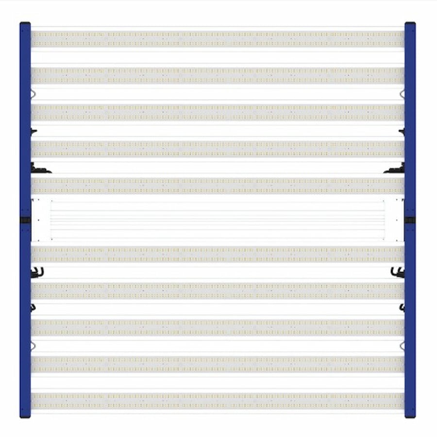 Product Secondary Image:GML Tarantula Borg