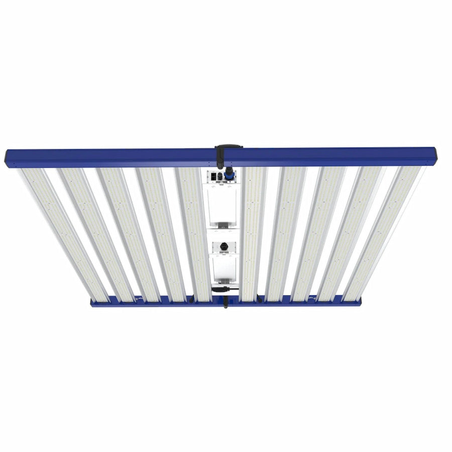 GML Tarantula Explorer