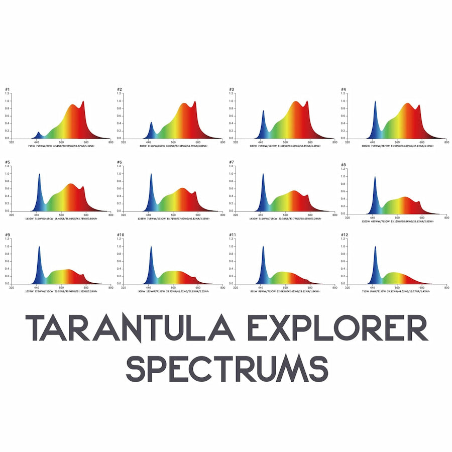 GML Tarantula Explorer