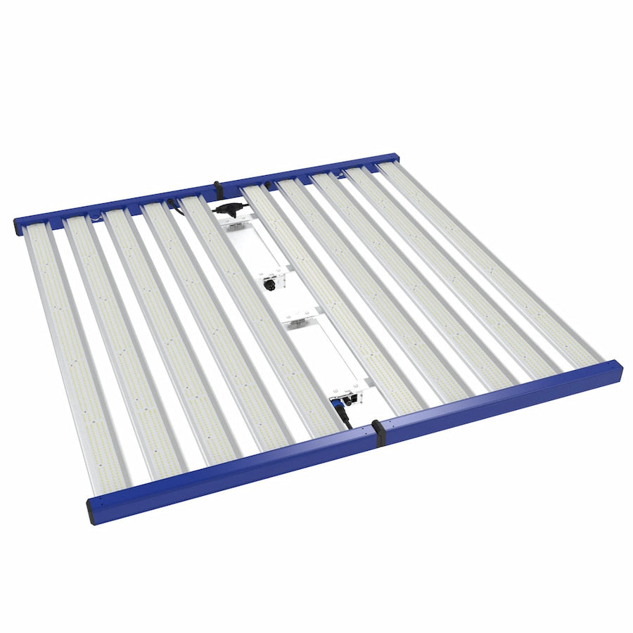 GML Tarantula Explorer