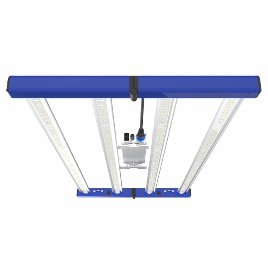 GML Tarantula Revolution 320