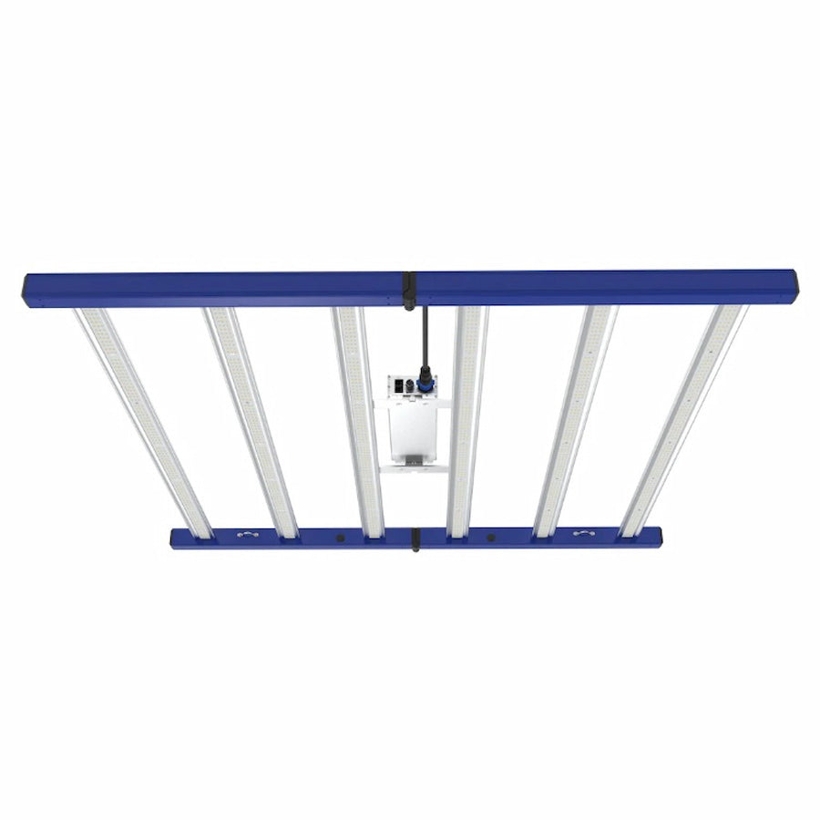 GML Tarantula Revolution 600 Veg