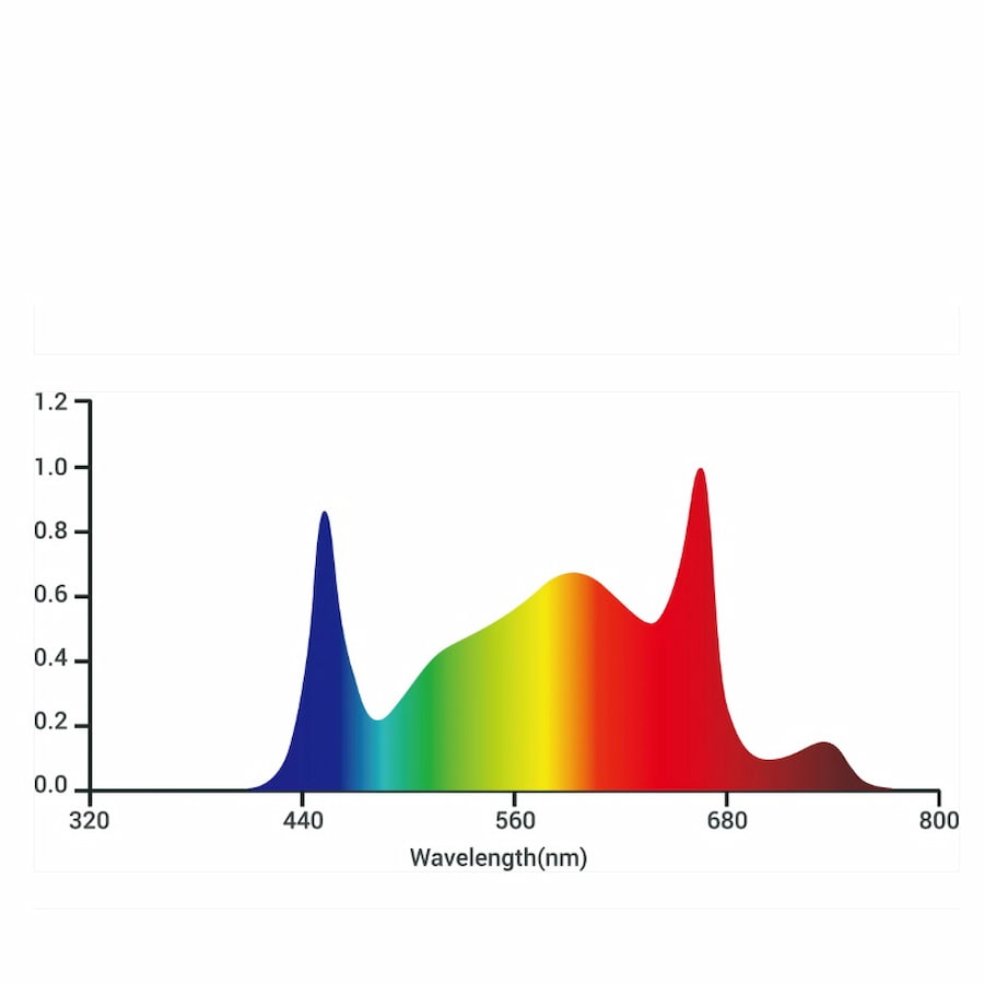 GML Tarantula Revolution 720