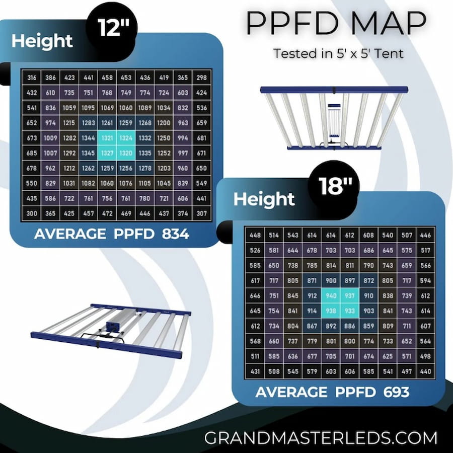 GML Tarantula Revolution 720