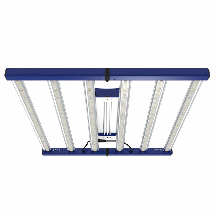 Product Image:GML Tarantula Torch 480