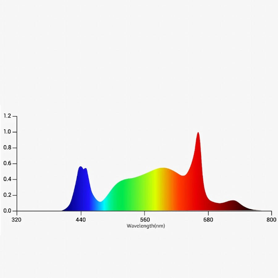 GML Tarantula Torch 480