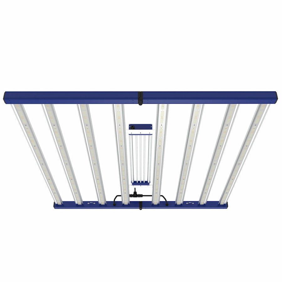 Product Image:GML Tarantula Torch 730