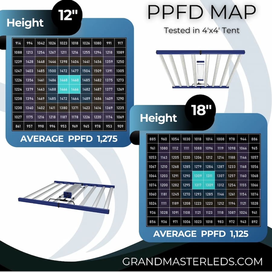 GML Tarantula Torch 730