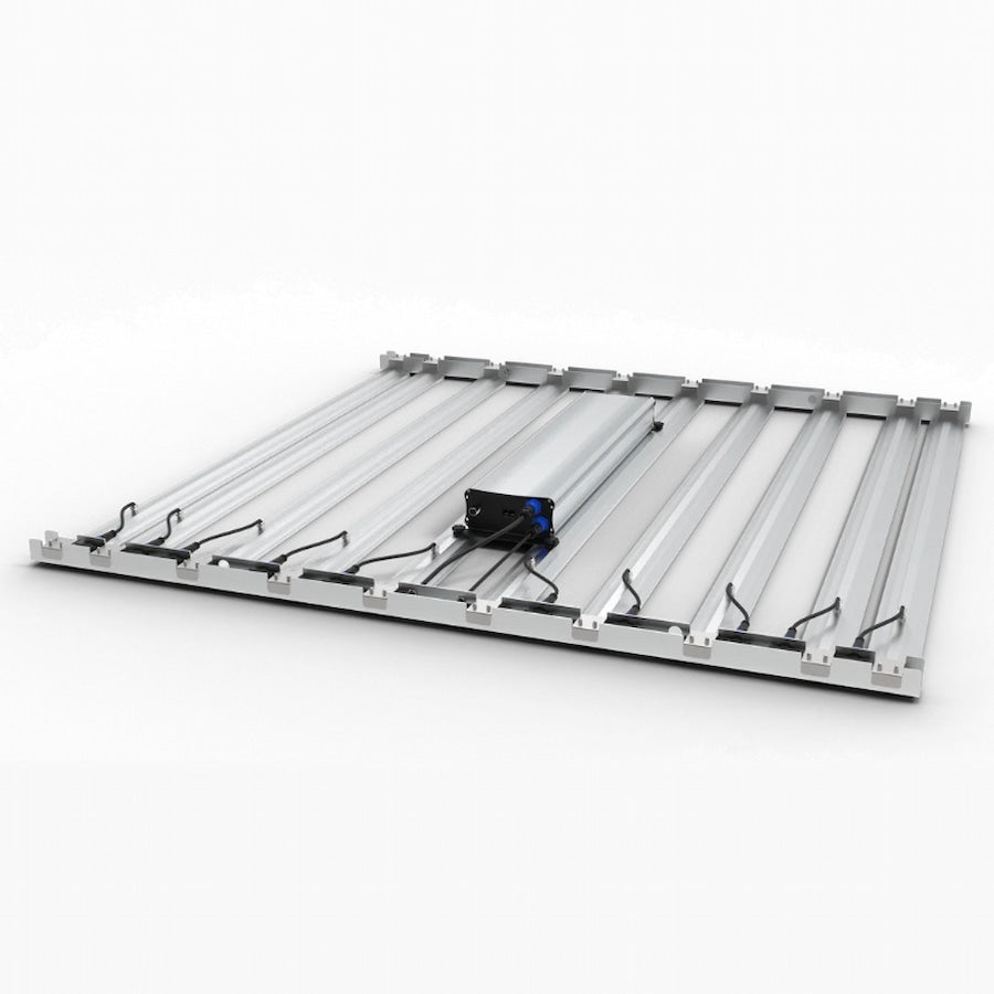 GML Tarantula Ultimate Tent 5X5 V2