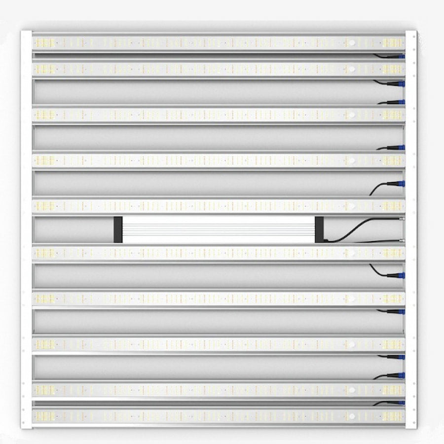 GML Tarantula Ultimate Tent 5X5 V2