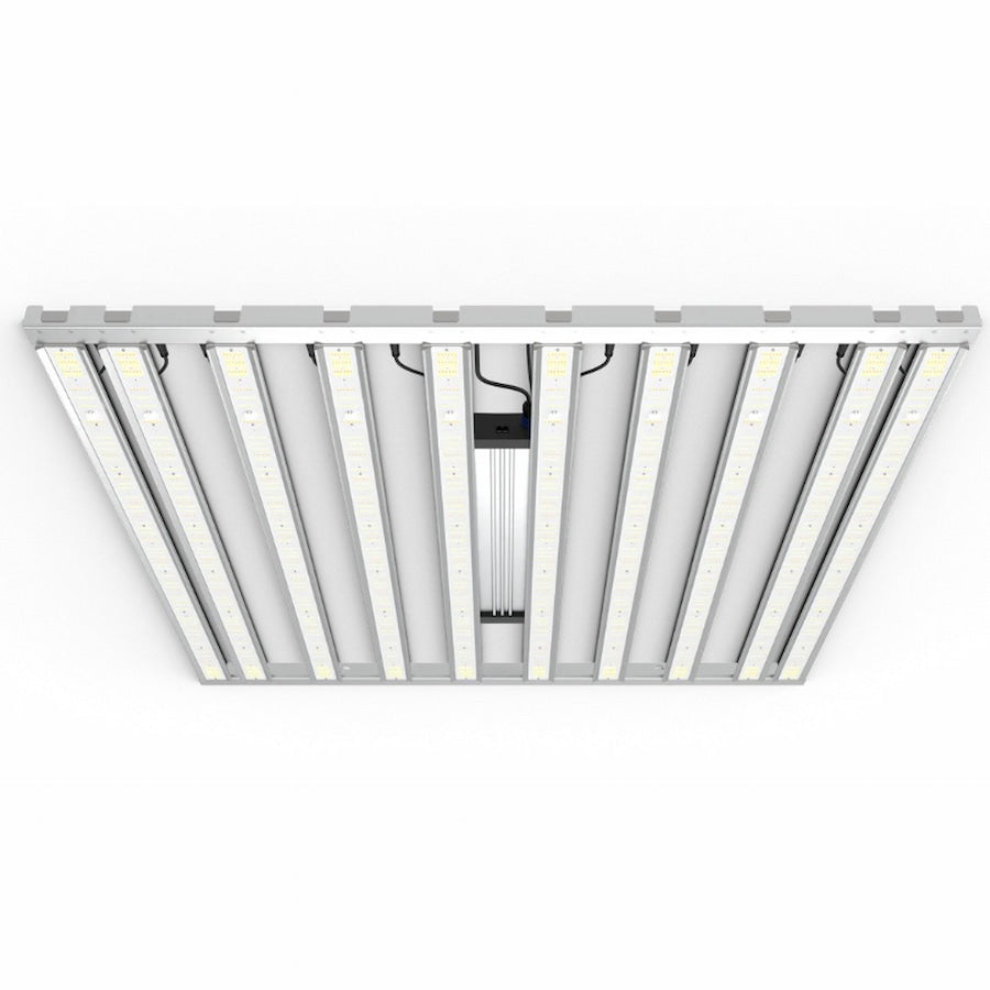 Product Image:GML Tarantula Ultimate Tent 5X5 V2