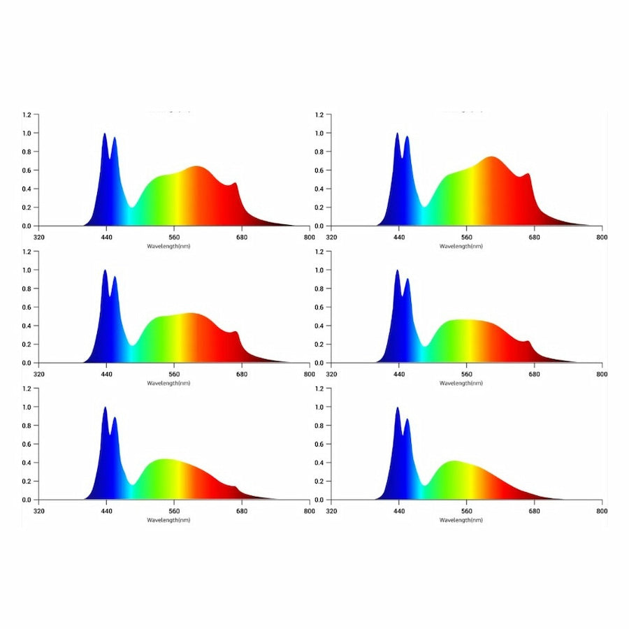 GML Tarantula Voyager