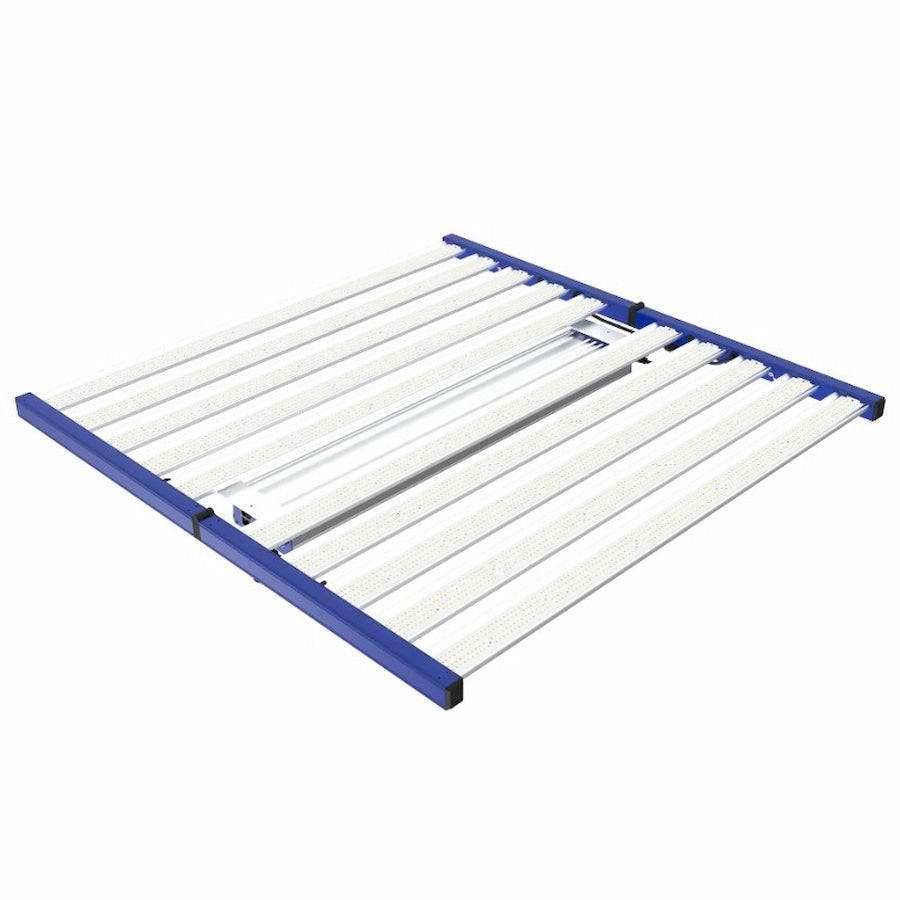 GML Tarantula Voyager