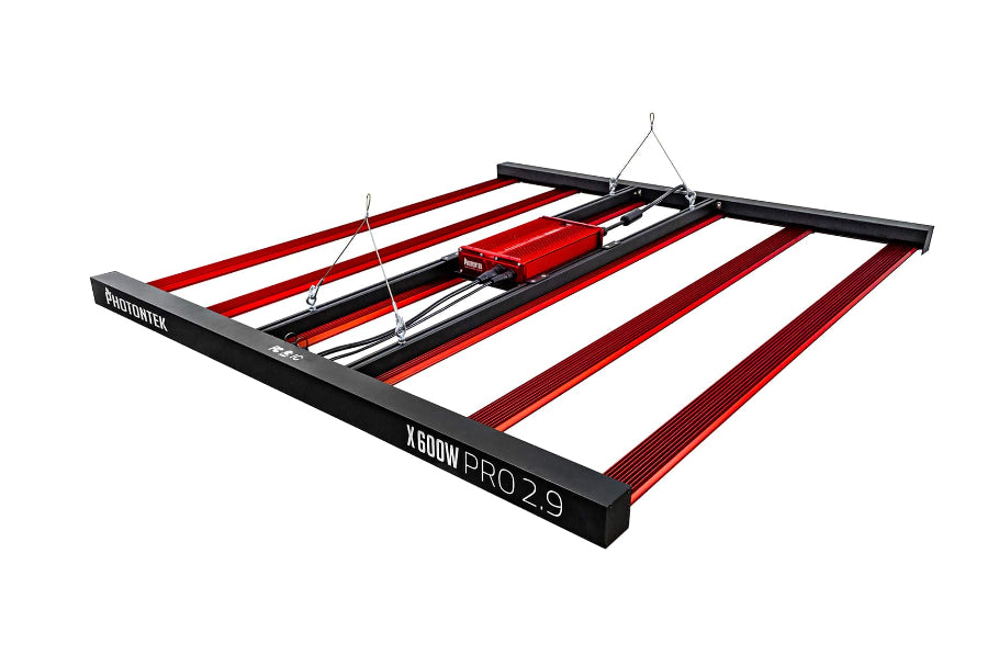 PhotonTek X 600W Pro 2.9 LED