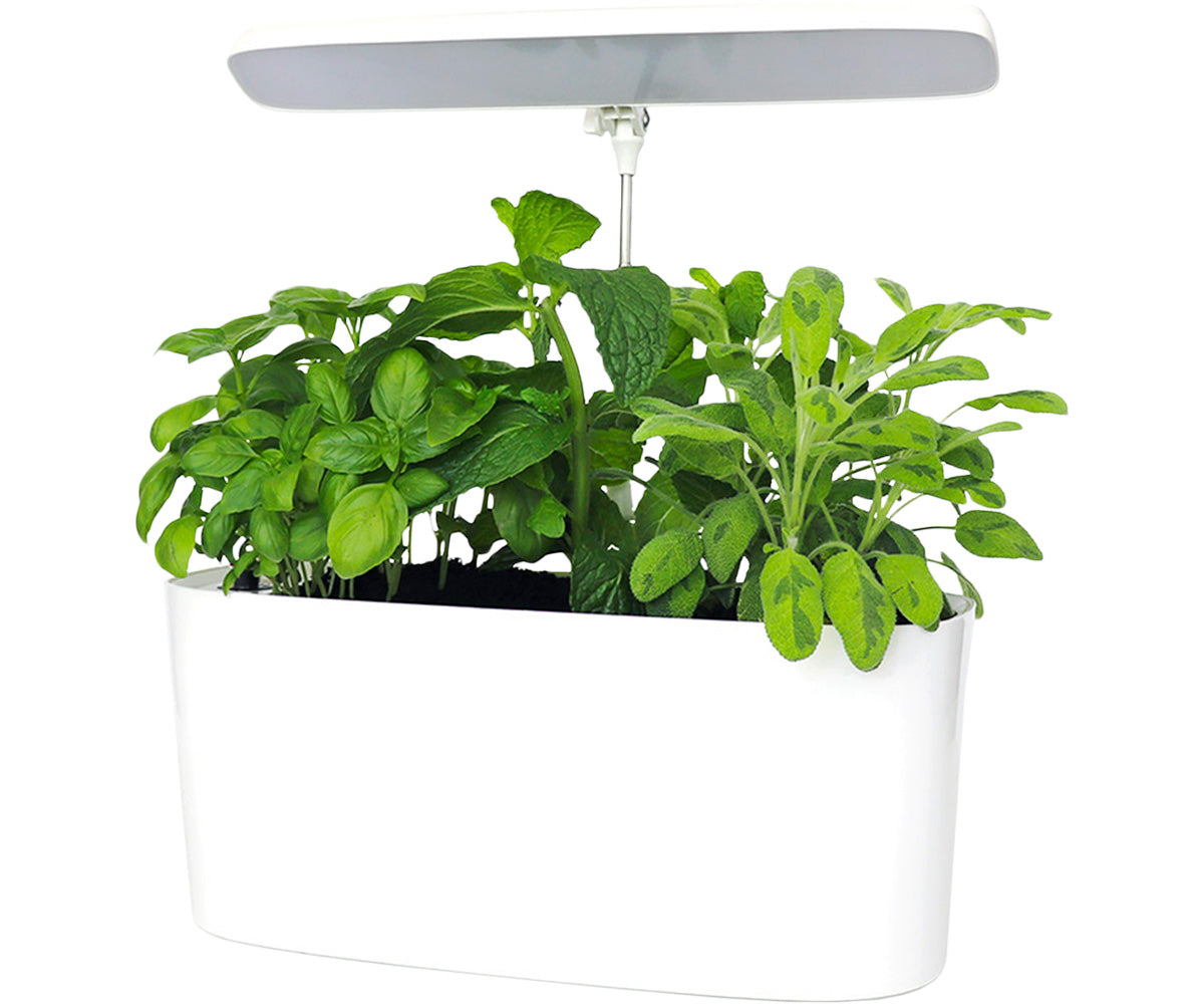 Product Image:SUNBLASTER NANO GROWLIGHT GARDEN