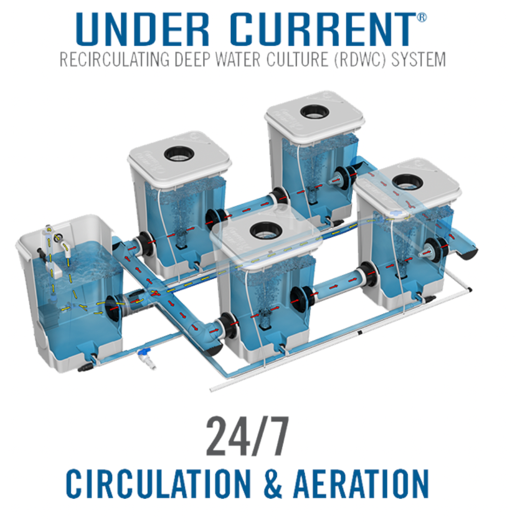 Product Secondary Image:Current Culture H2O Under Current XL/13