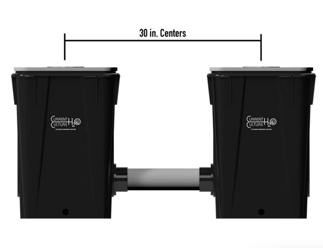 Current Culture H2O Under Current XL/13