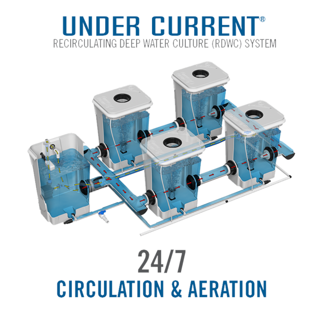 Product Secondary Image:Current Culture Under Current XXL 13