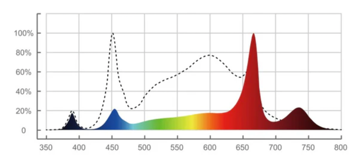 California Lightworks SolarXtreme 250 LED éclairage de culture