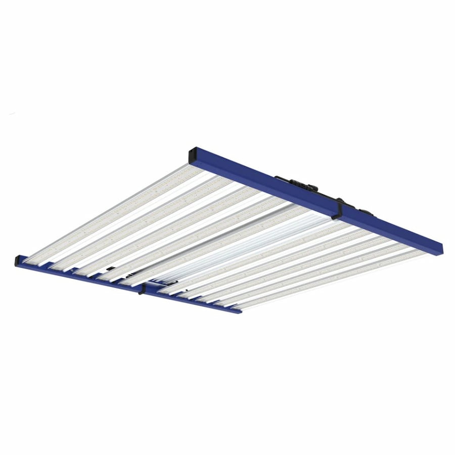 Product Image:GML Tarantula Borg Evolution V3