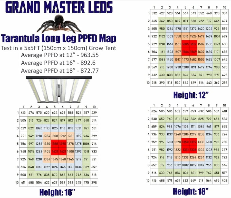 GML Tarantula Long Leg 2-Channel LED Fixture