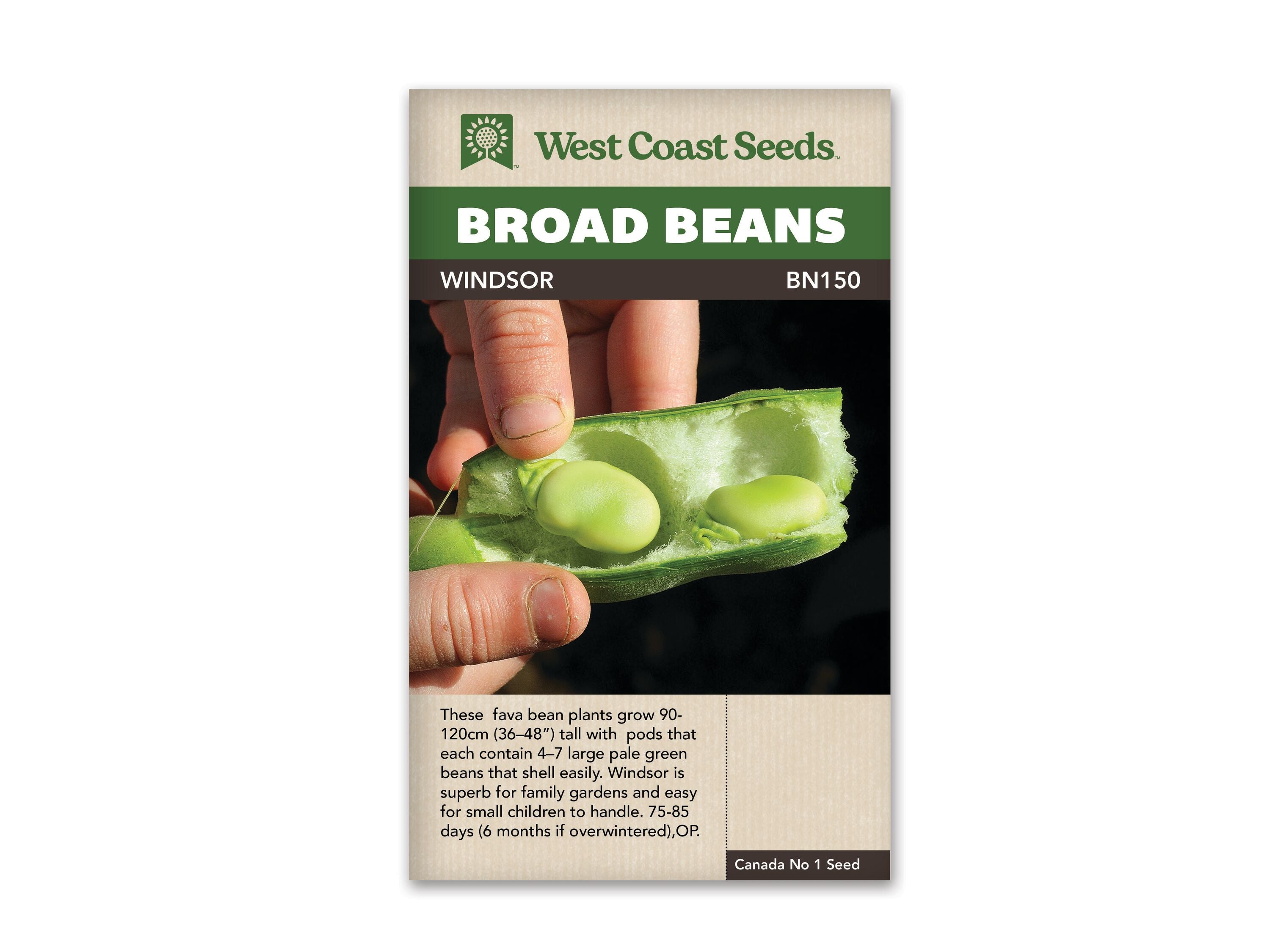 Product Image:Windsor Seeds