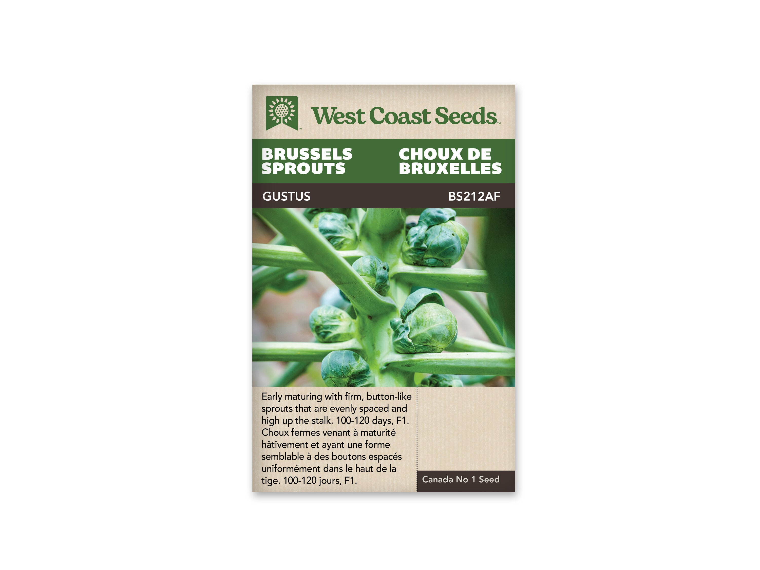 Gustus F1 Brussel Sprouts Seeds