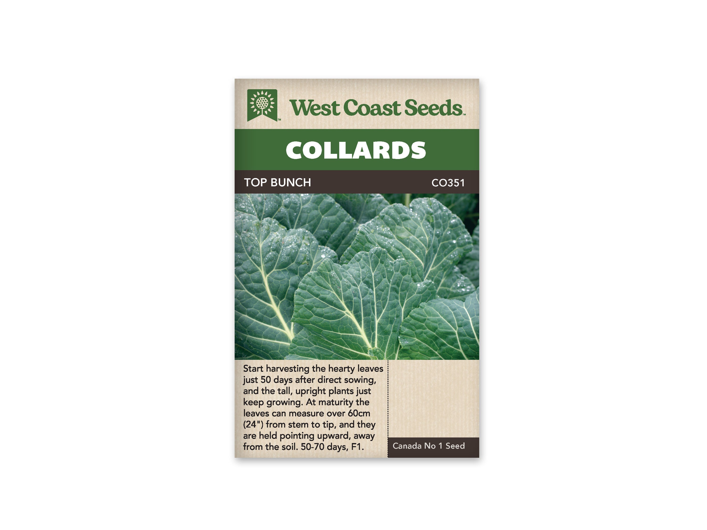 Product Image:Top Bunch F1 Collards Seeds