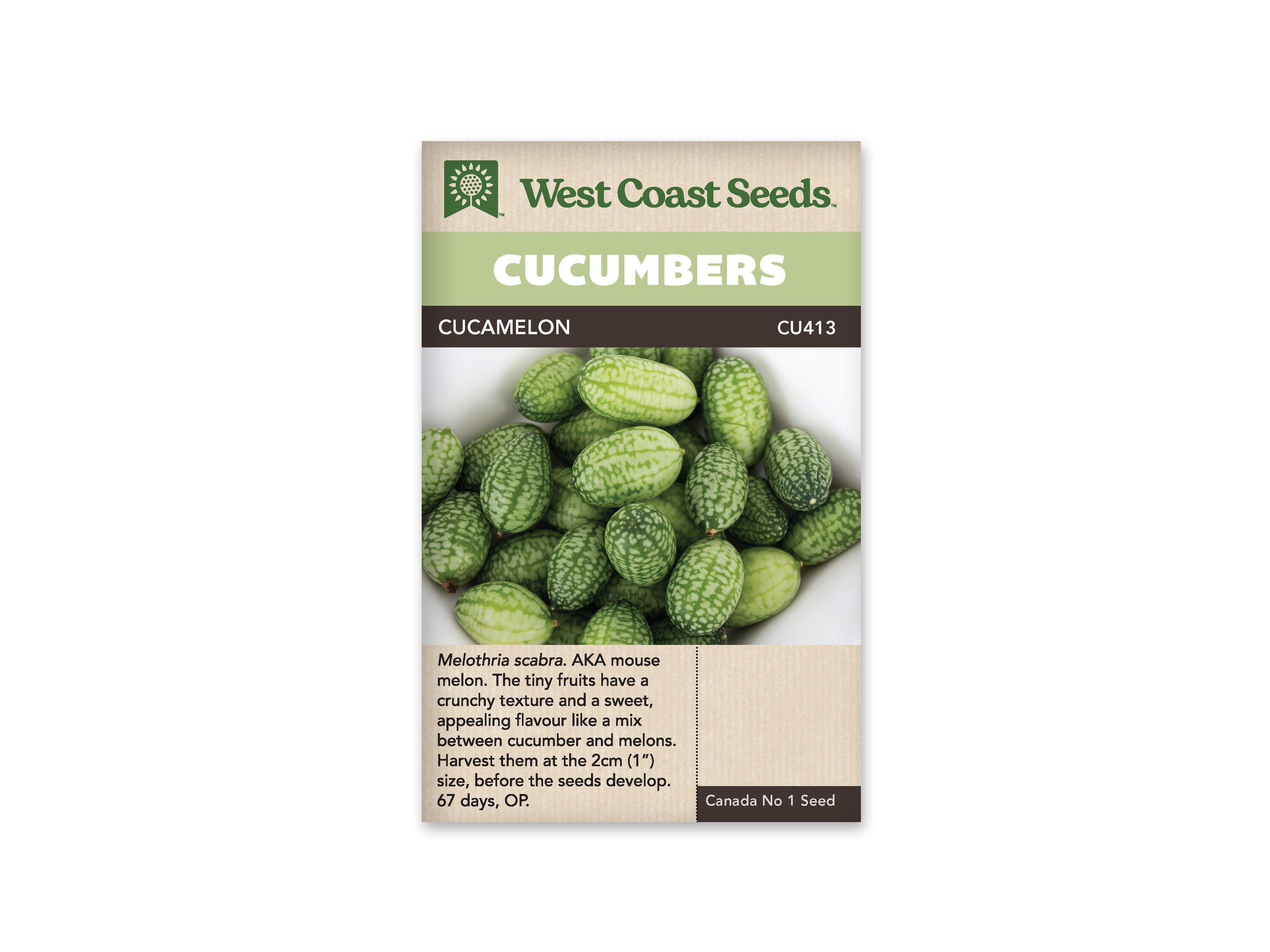 Product Image:Cucamelon Cucumbers Seeds