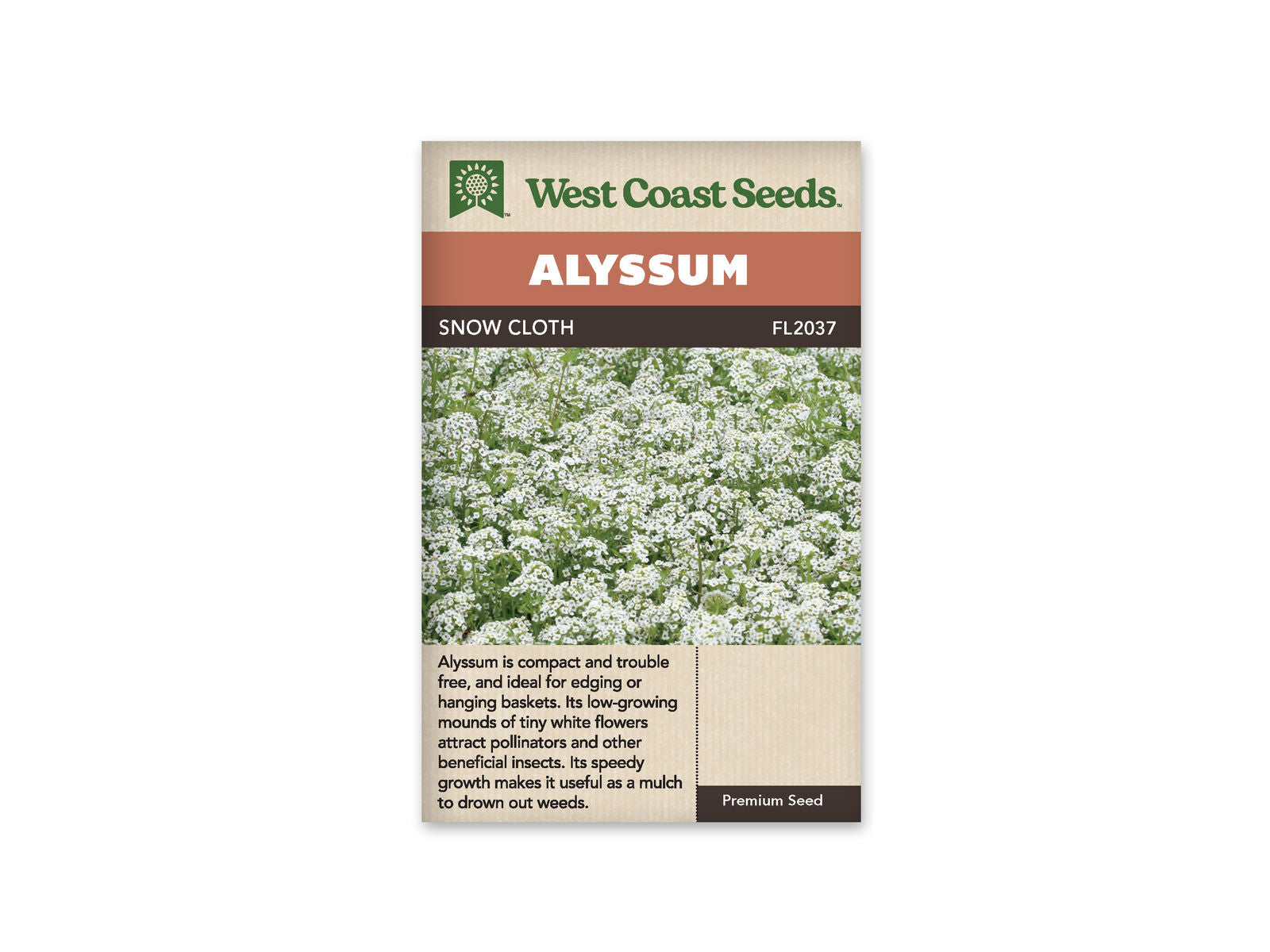 Product Image:Snow Cloth Seeds