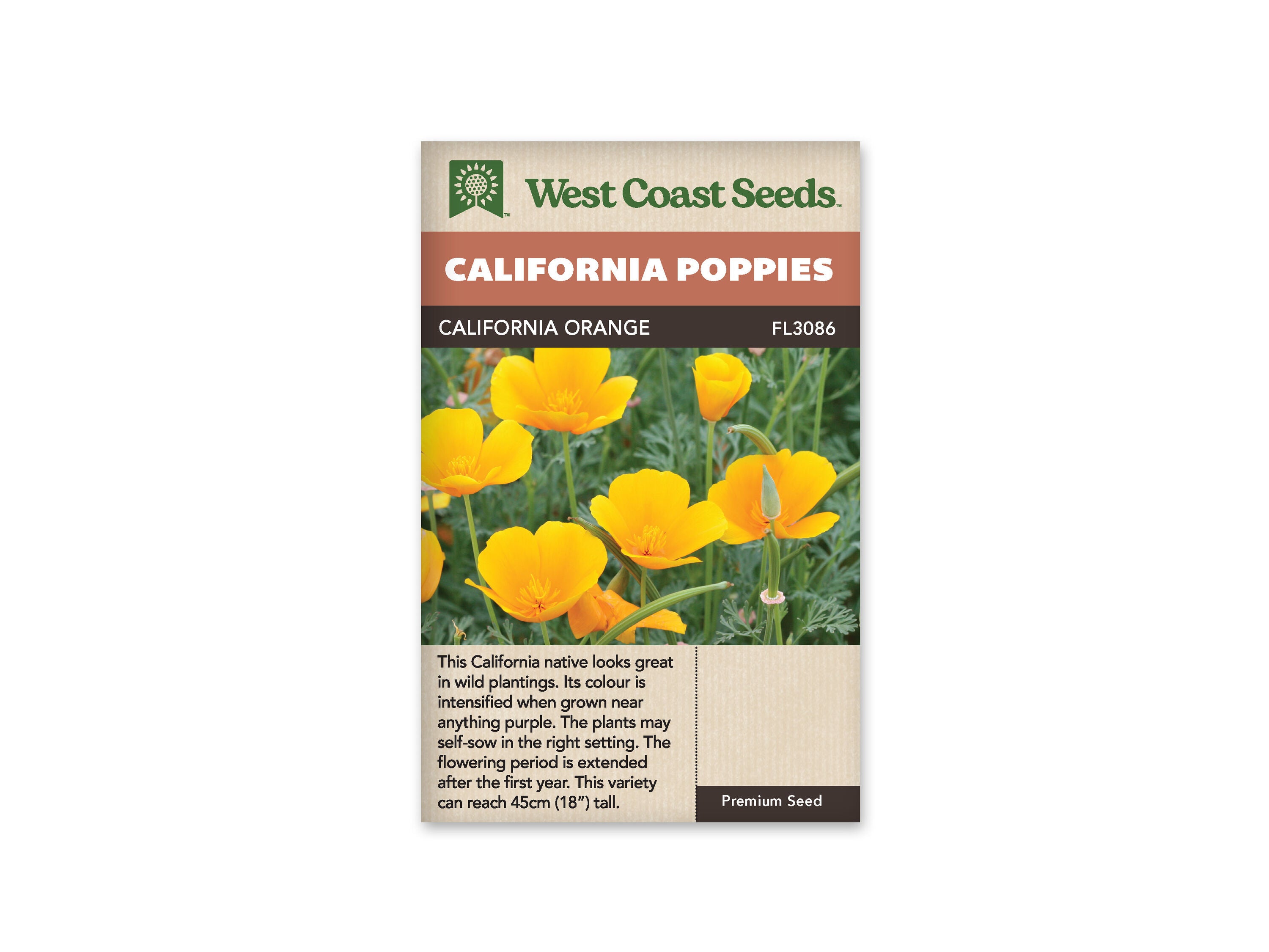 Product Image:California Orange Seeds