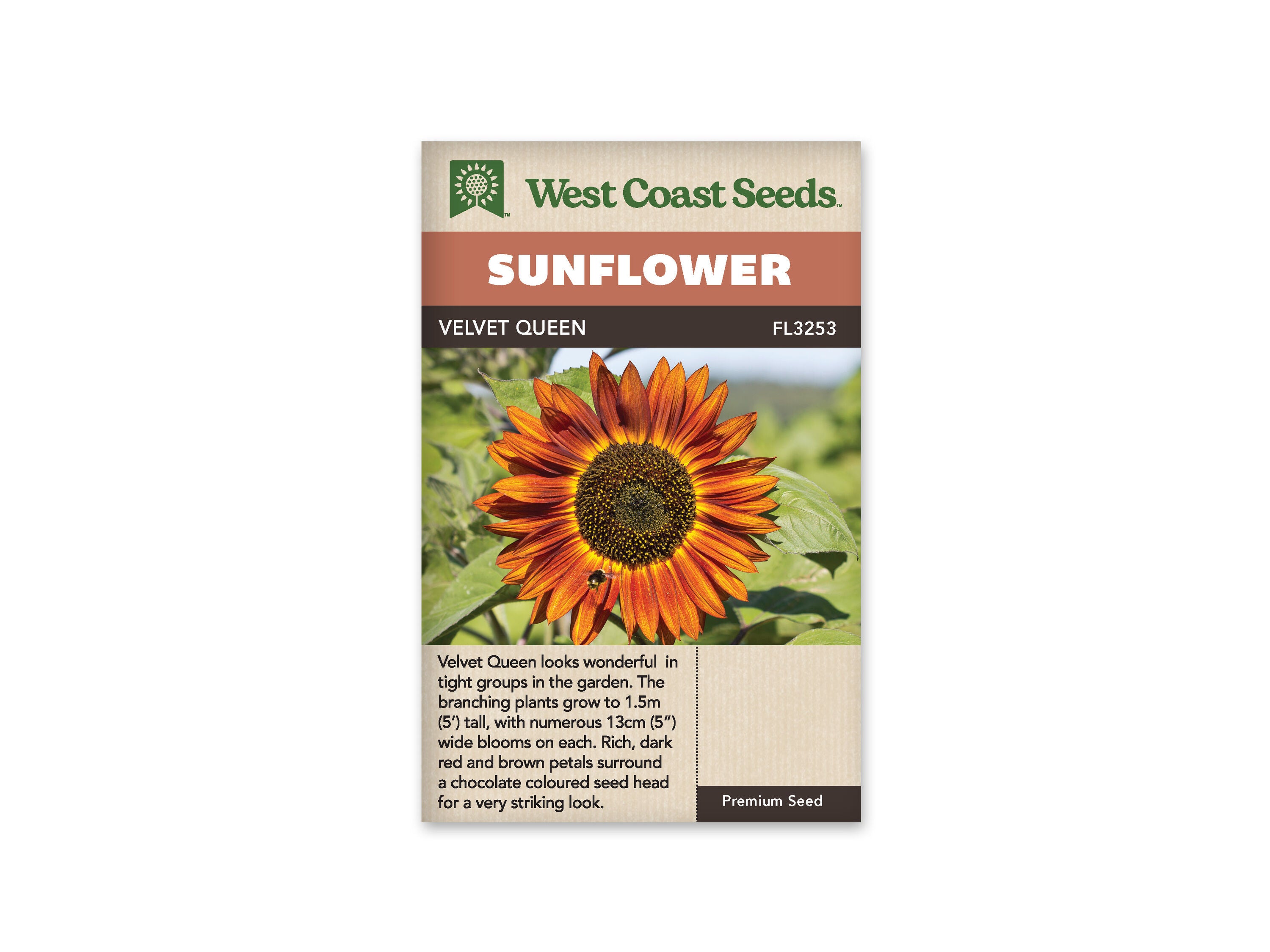 Product Image:Velvet Queen Seeds