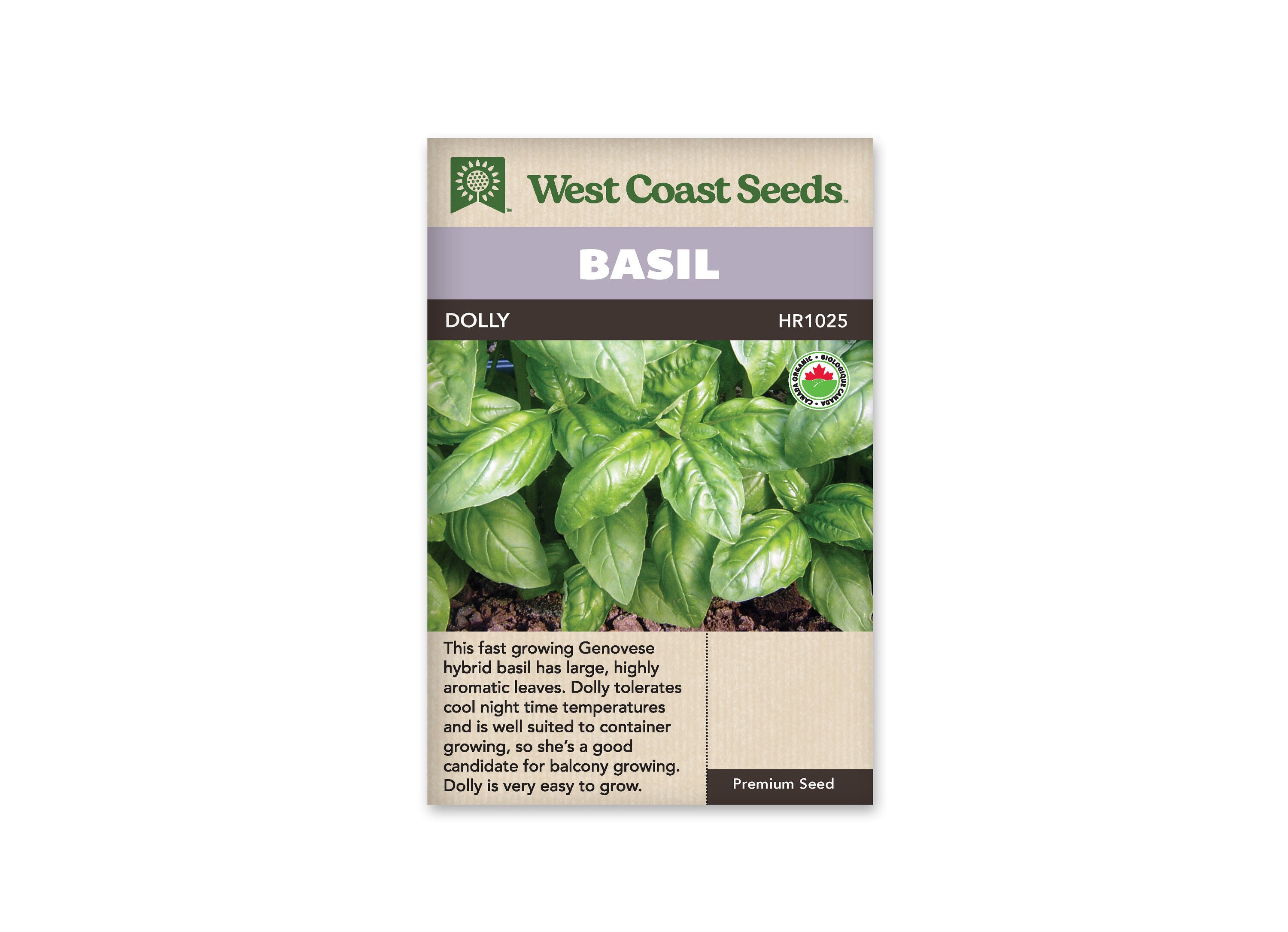 Product Image:Dolly Organic Basil Seeds