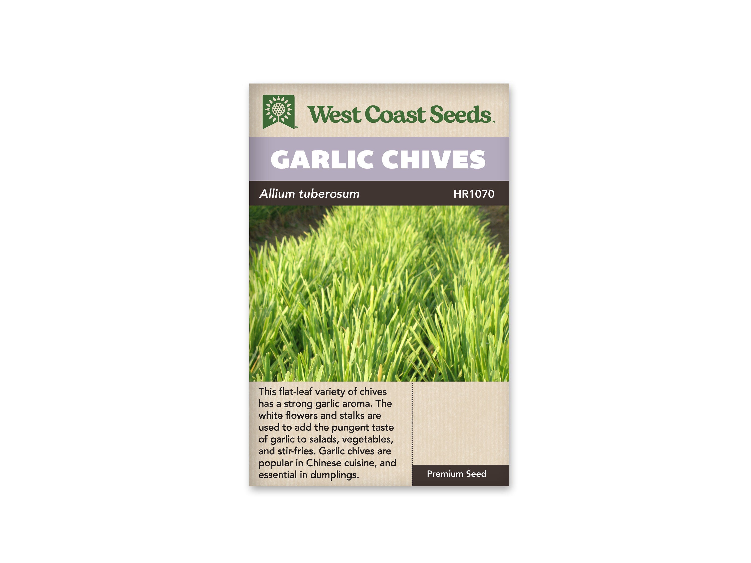 Garlic Chives Seeds