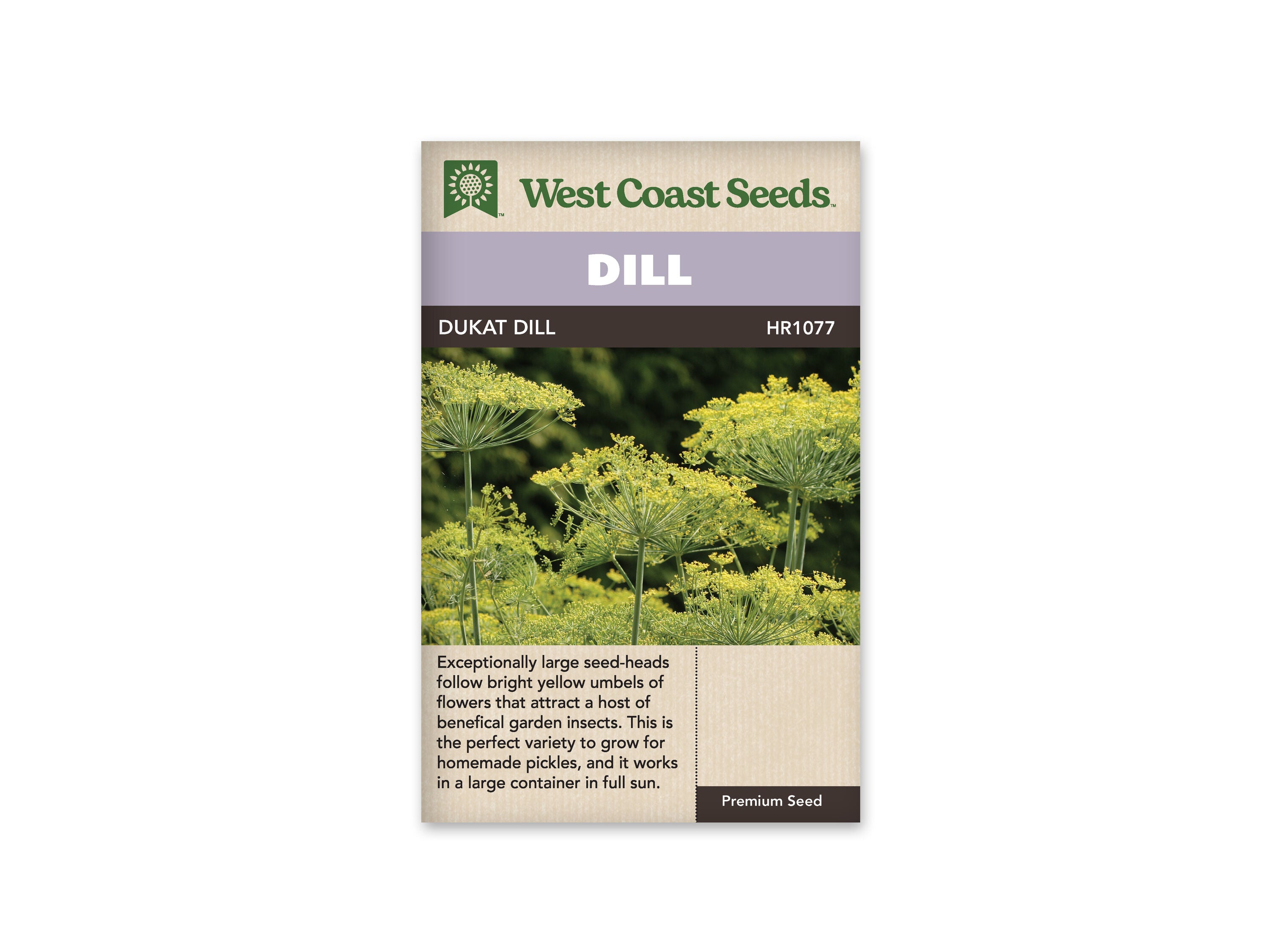 Product Image:Dukat Seeds