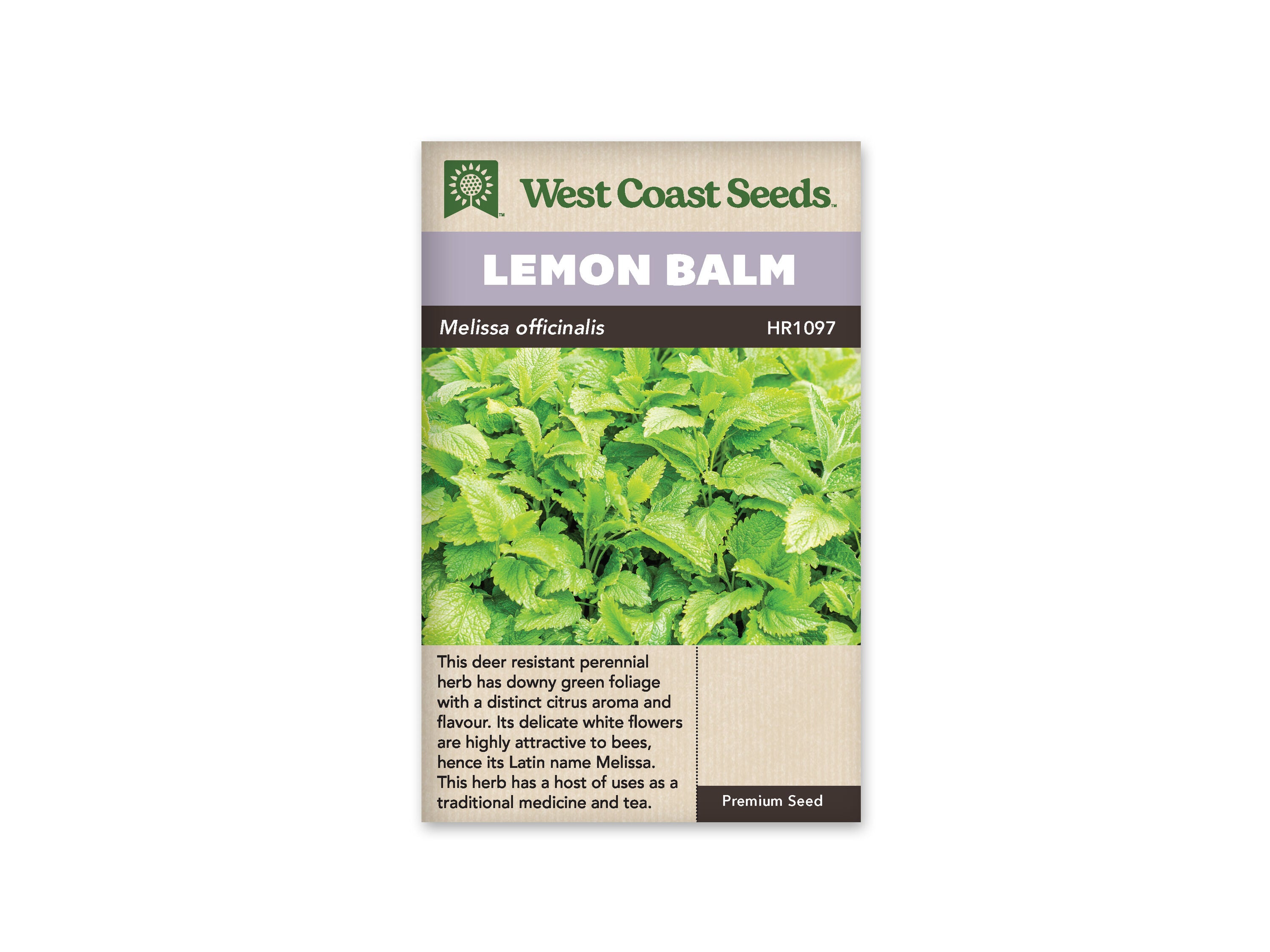 Product Image:Lemon Balm Seeds