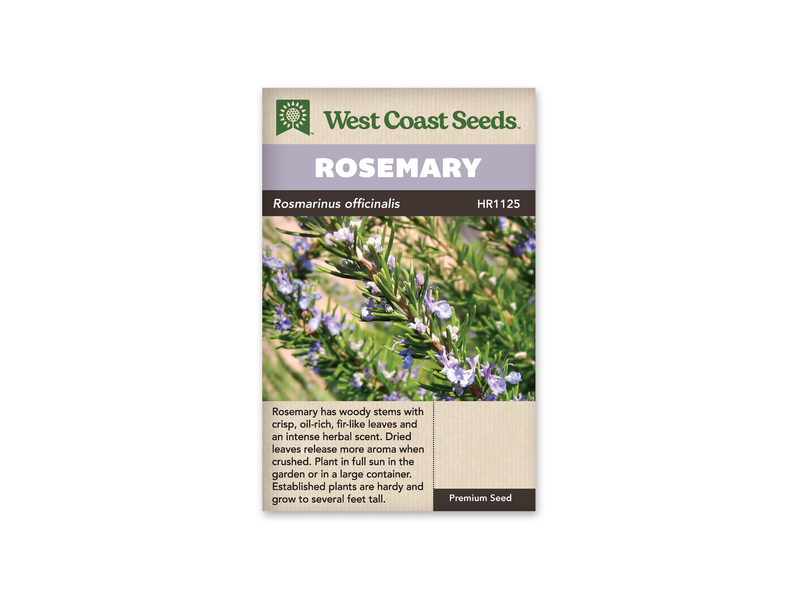 Product Image:Rosemary Seeds