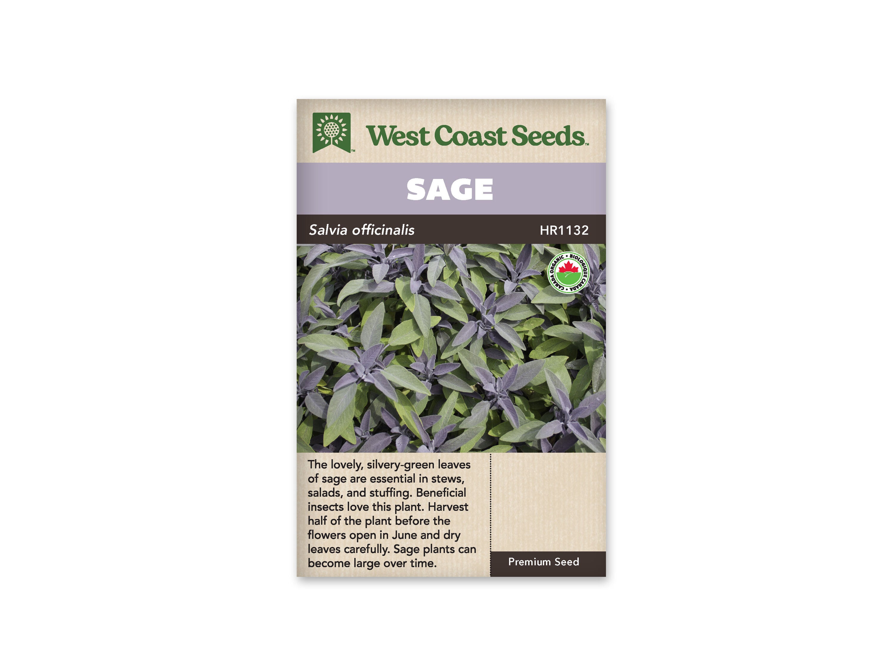Product Image:Sage Certified Organic Seeds