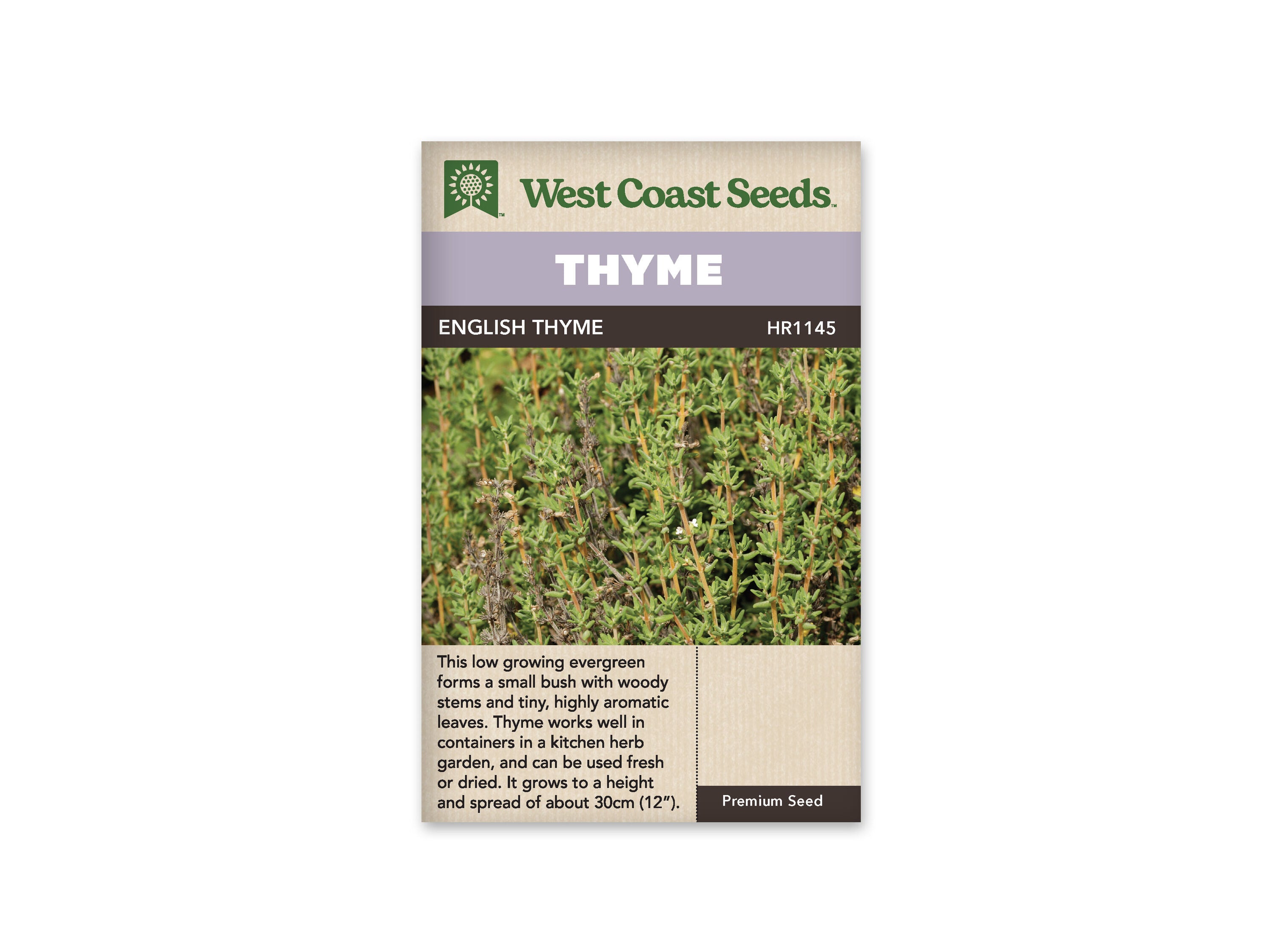 Product Image:English Thyme Seeds