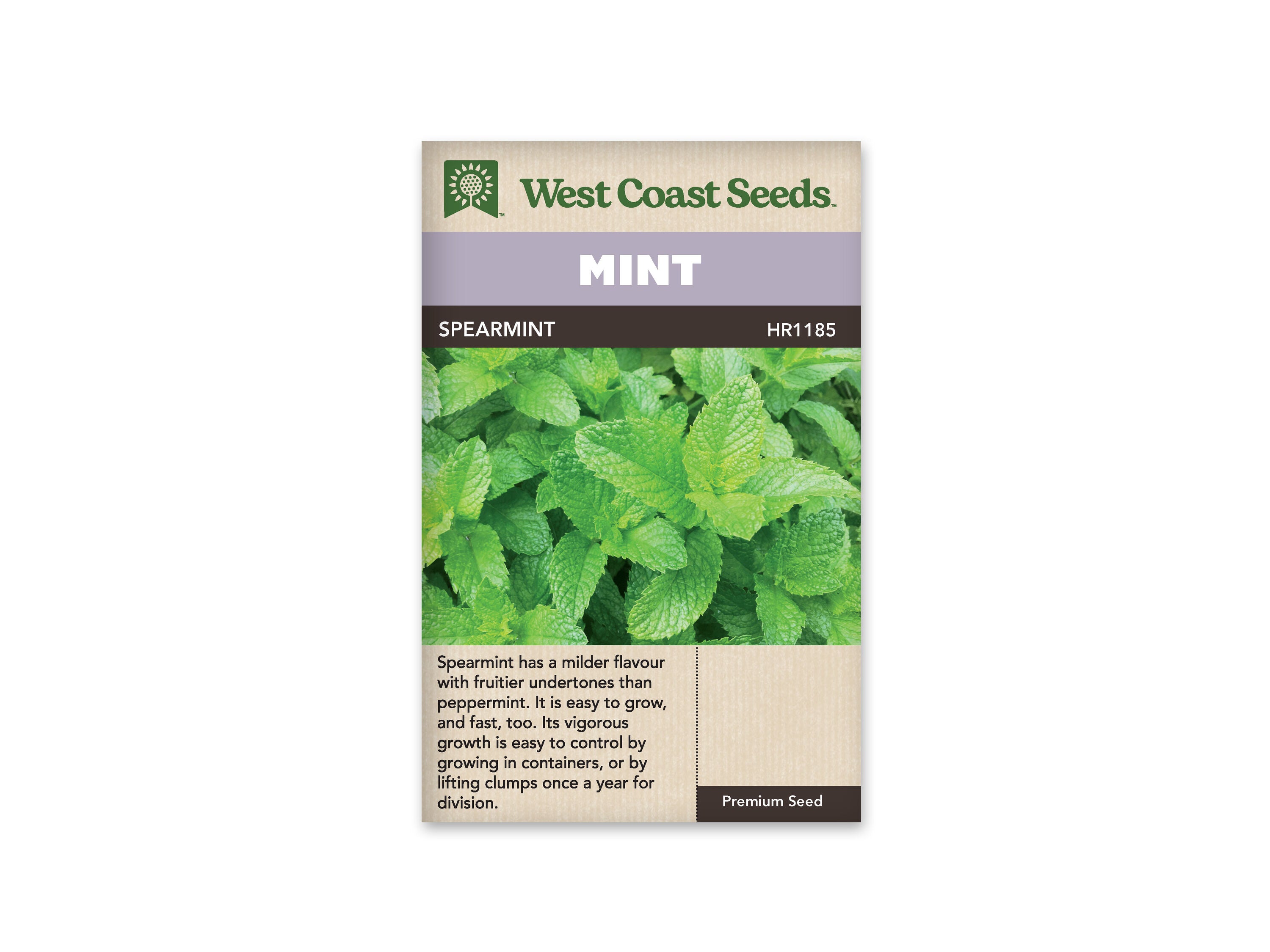 Product Image:Spearmint Seeds
