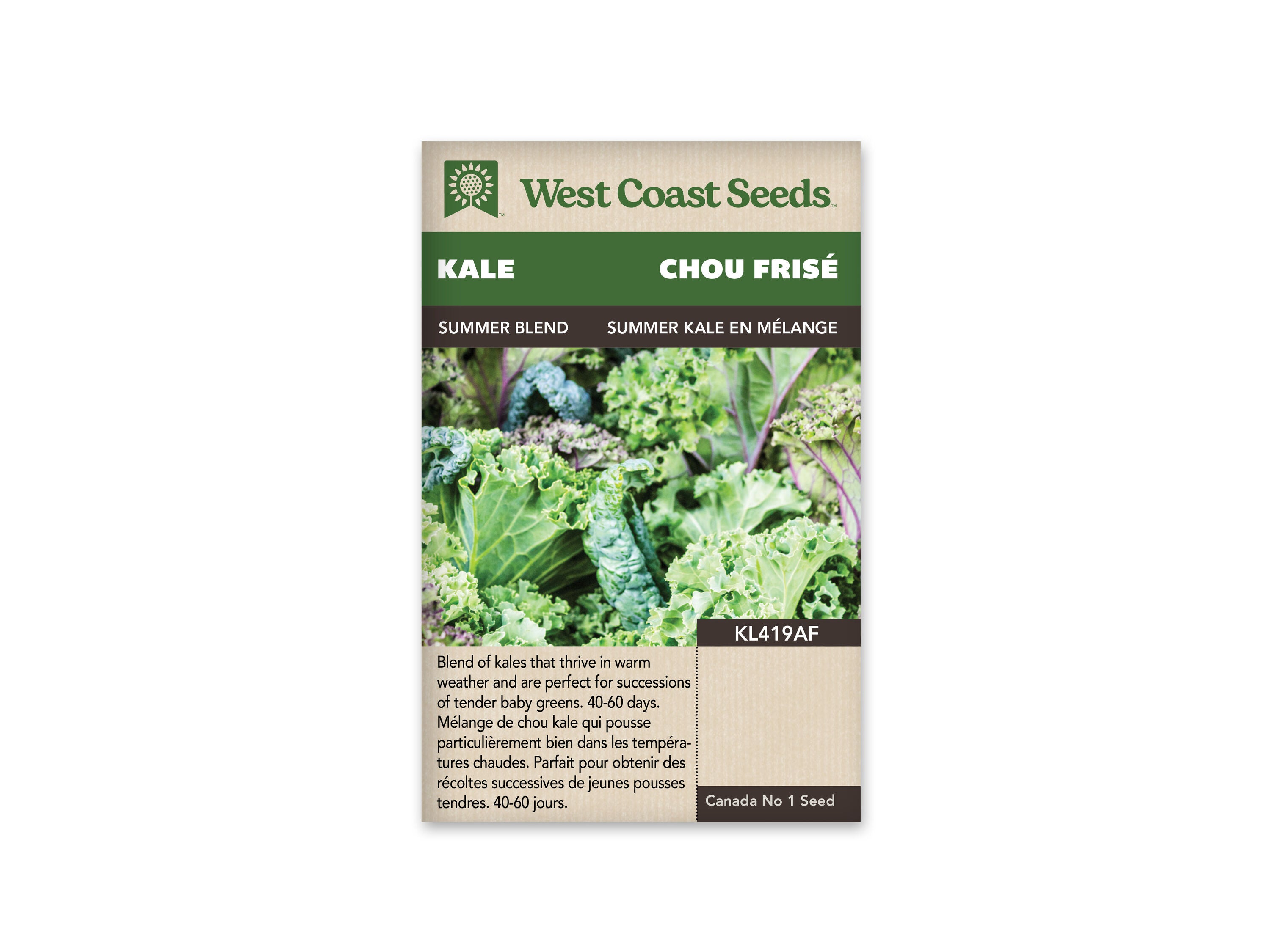 Product Image:Summer Kale Blend Seeds