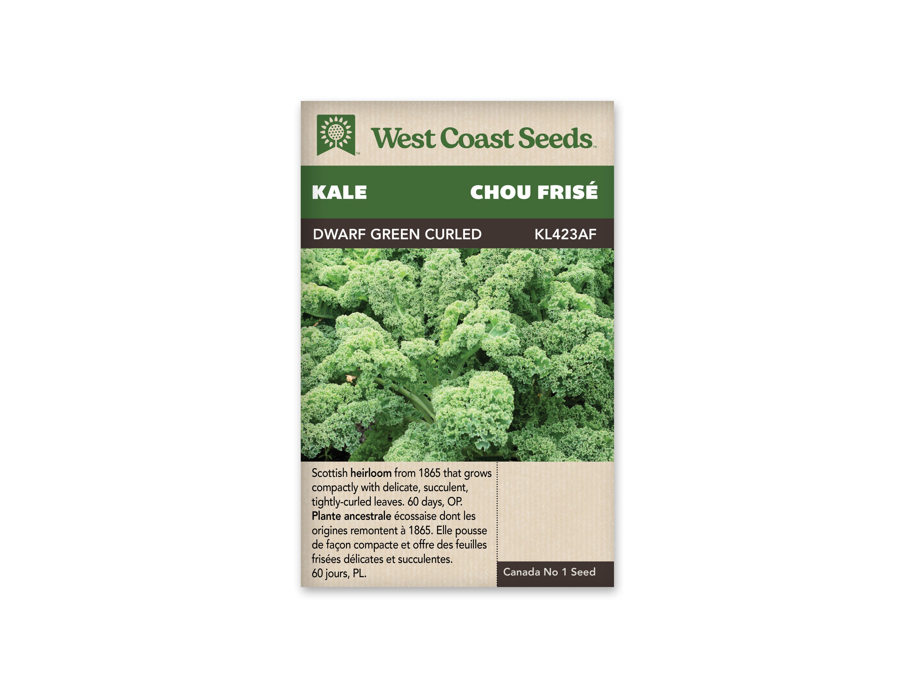 Product Image:Dwarf Green Curled Kale Seeds