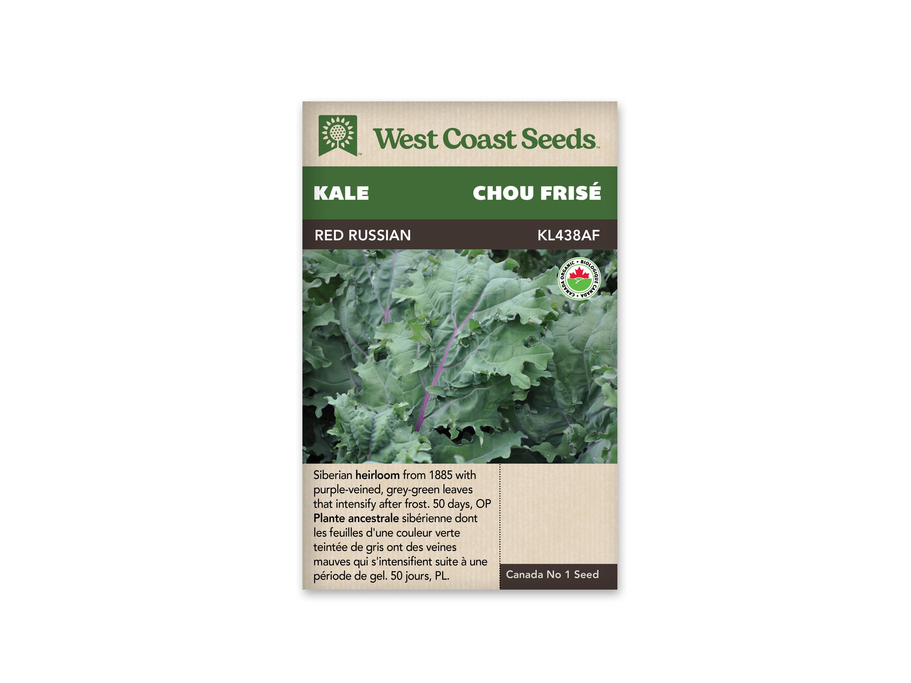 Product Image:Red Russian Organic Kale Seeds