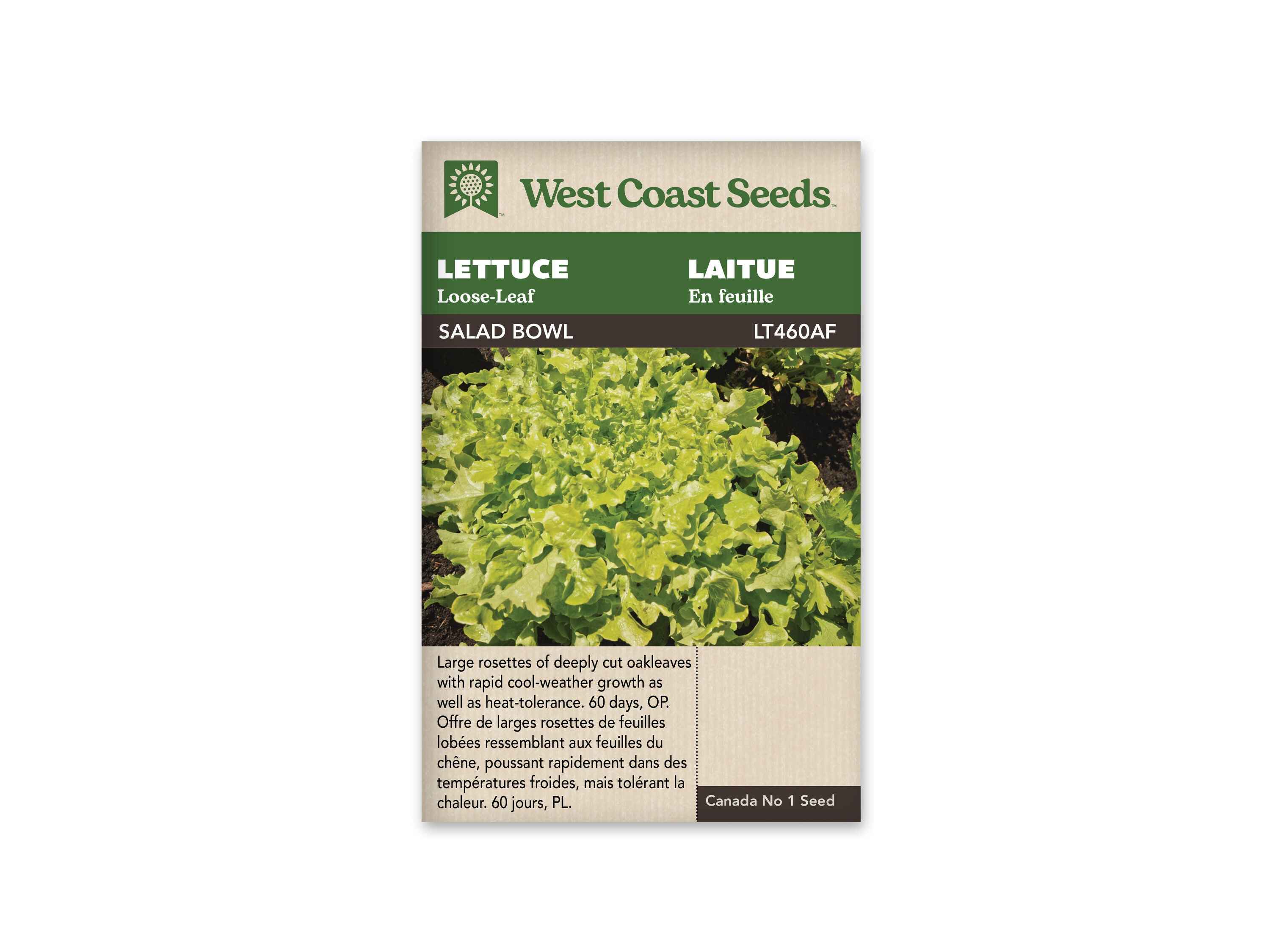 Product Image:Salad Bowl Lettuce Seeds