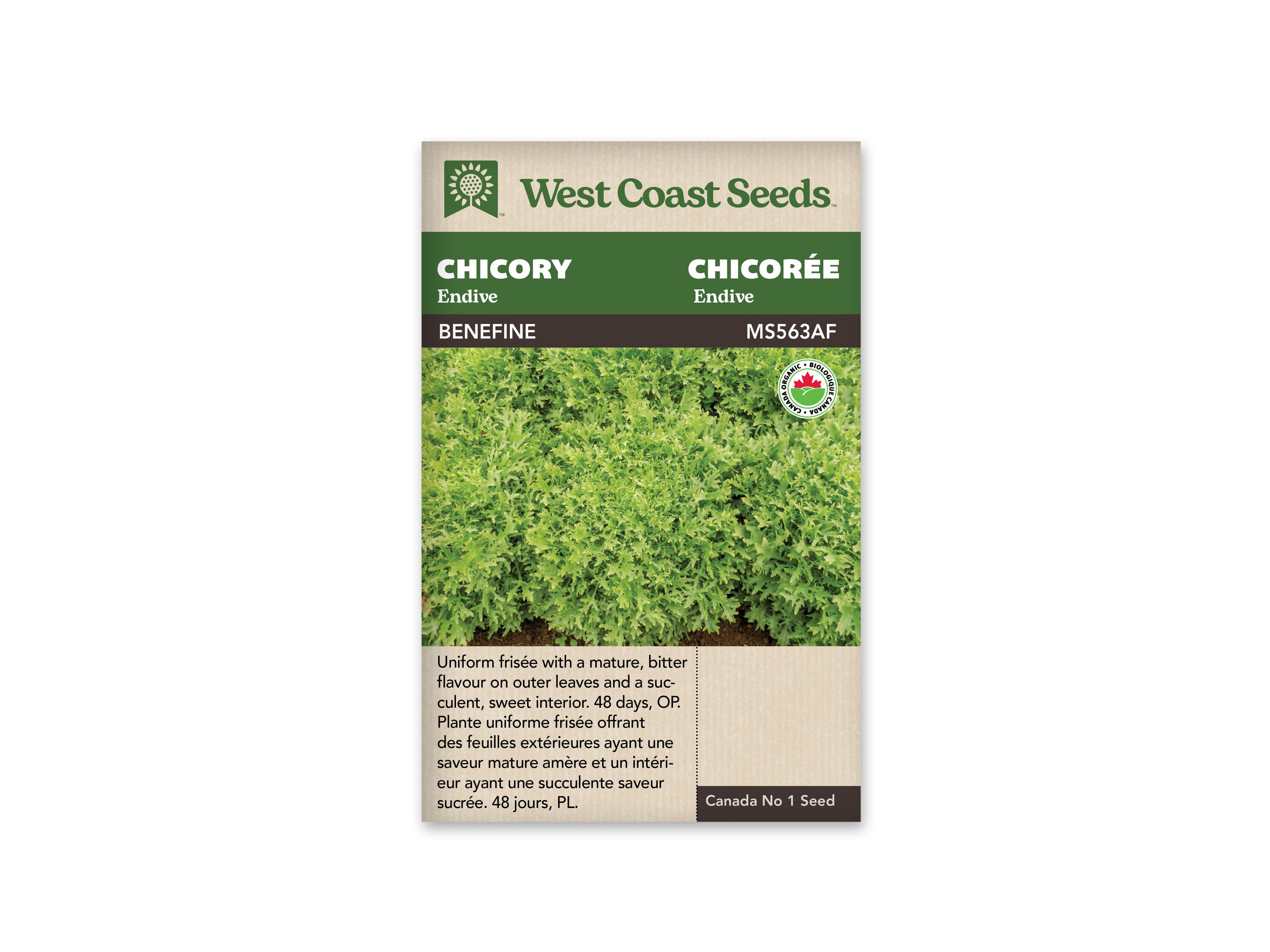 Benefine Certified Organic Chicory Seeds