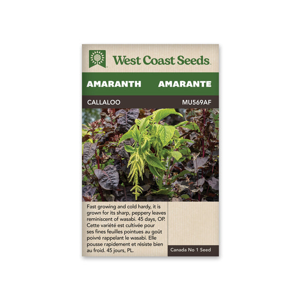 callaloo plant seeds Callaloo Seeds from West Coast Seeds at Canada Grow Supplies