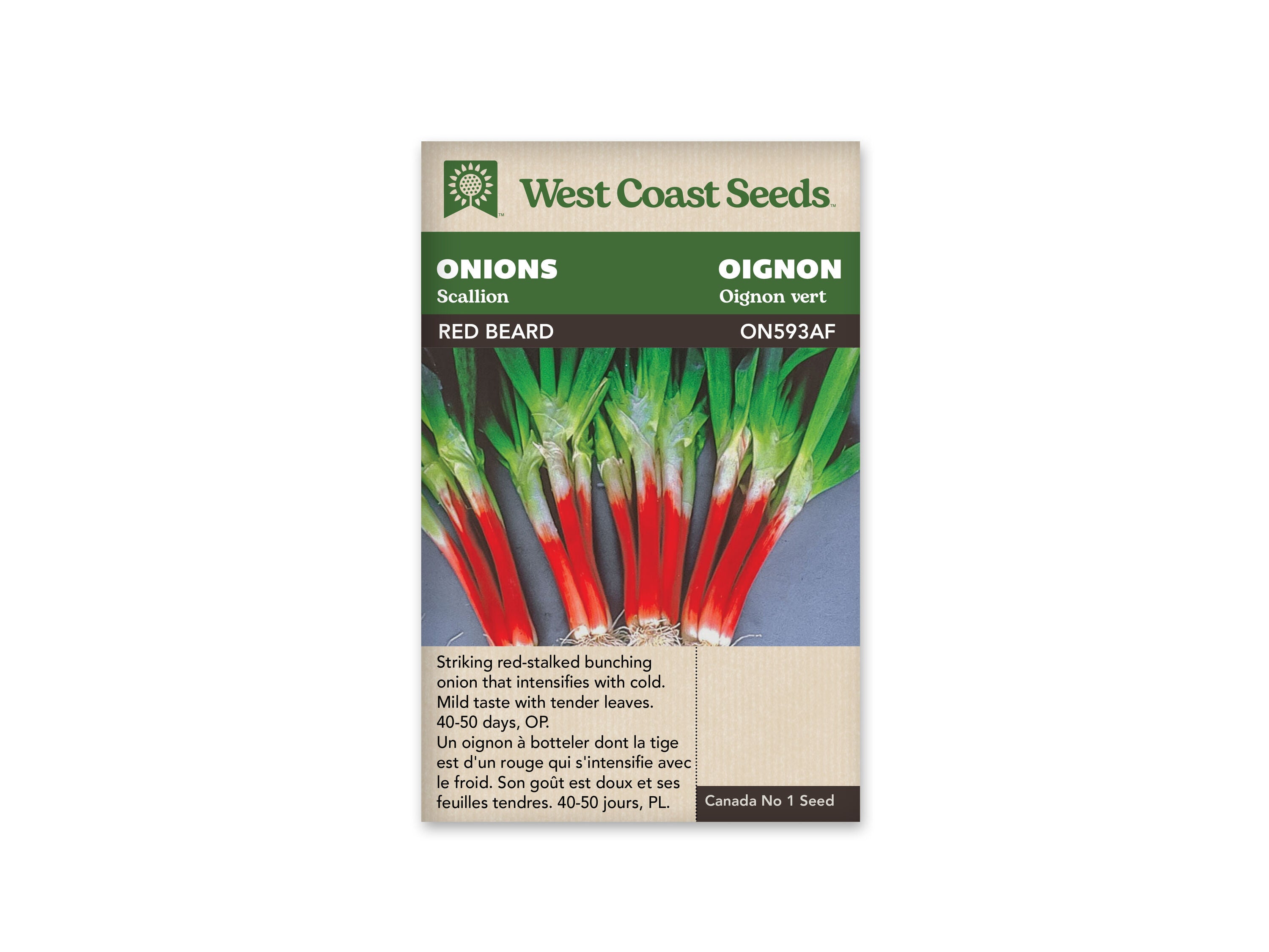 Product Image:Red Beard Seeds